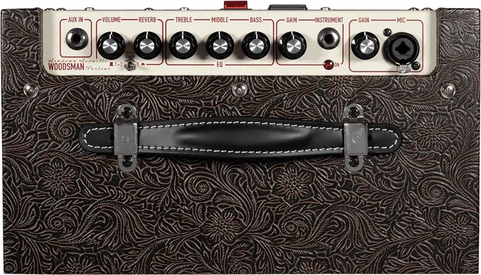 ASHDOWN Woodsman Amplificateur Guitare Acoustique - 25W