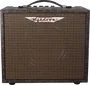 ASHDOWN Woodsman Amplificateur Guitare Acoustique - 25W