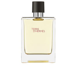 Hermès Terre d'Hermès Eau de Toilette Vaporisateur 100 ml