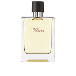 Hermès Terre d'Hermès Eau de Toilette Vaporisateur 100 ml