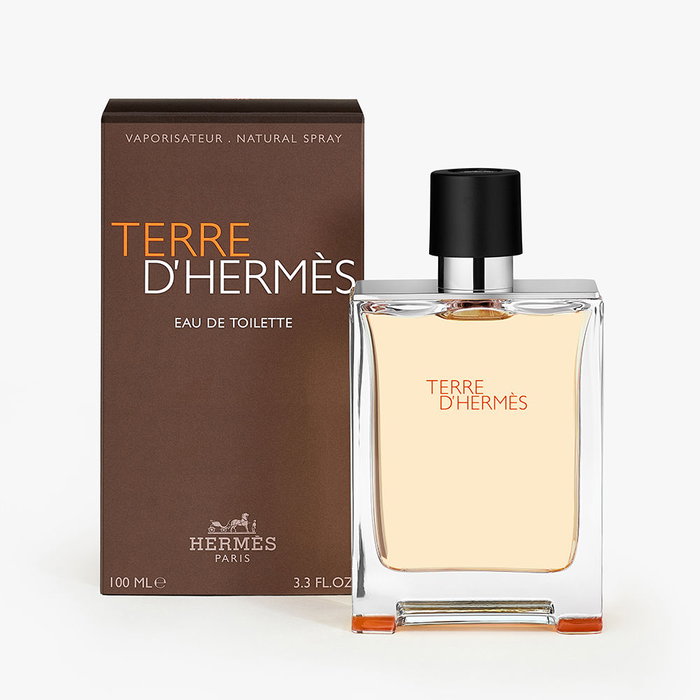 Hermès Terre d'Hermès Eau de Toilette Vaporisateur 100 ml