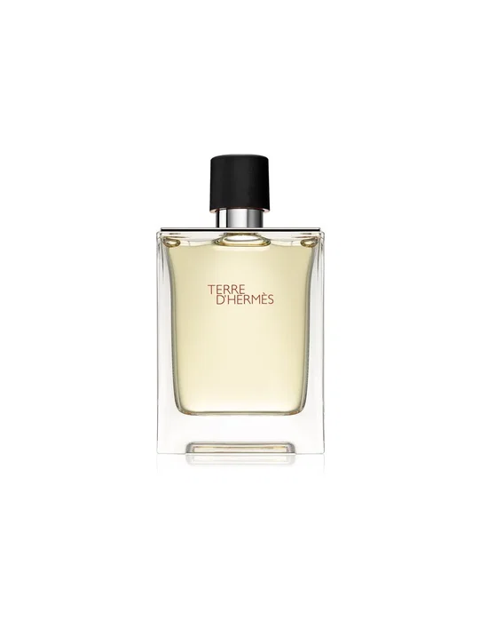 Hermès Terre d'Hermès Eau de Toilette 100 ml Hermès Terre d'Hermès Eau de Toilette 100 ml