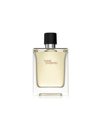 Hermès, Terre d'Hermès Eau de Toilette pour Homme, Flacon 100 ml, Parfum Français