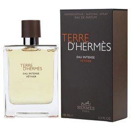 Hermès Terre d'Hermès Eau de Toilette Vaporisateur 100 ml