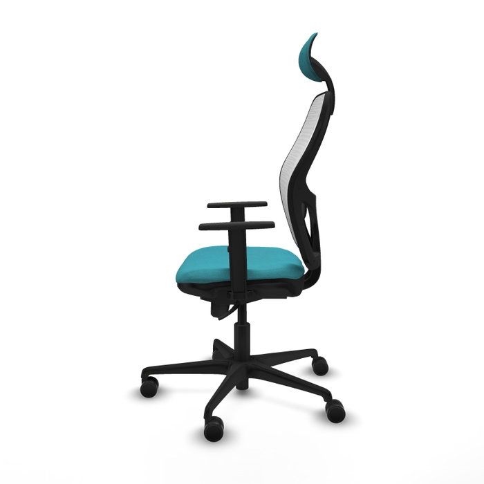 Piqueras y Crespo Chaise de Bureau Jorquera 1D036N1 Turquoise et Blanc Piqueras y Crespo Chaise de Bureau Jorquera 1D036N1 Turquoise et Blanc