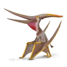 Collecta Pteranodon avec mandibule mobile - Deluxe échelle 1:15