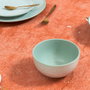 Home Deco Factory Bol Vert Sahara 650 ml
