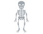 Misskuty Troquel fin ZAG Halloween esqueleto