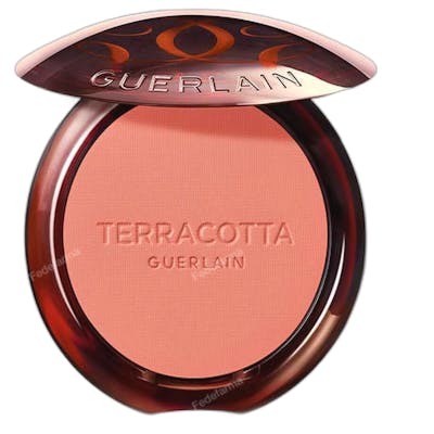 Guerlain Terracotta Blush 02