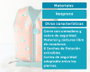 KioKids Gilet de Flottaison Crocodiles Orange 2 à 3 ans