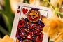 Theory 11 jeu de cartes à jouer Animal Kingdom