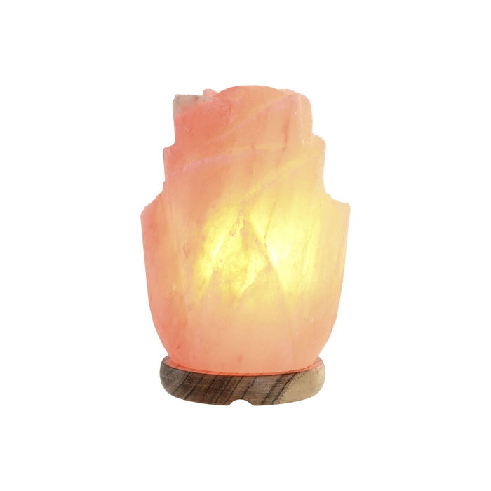 Lampe de bureau Home ESPRIT Rose 15 W 220 V