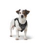 Harnais pour Chien Hunter DIVO UP Noir M
