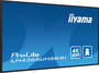 iiyama Écran professionnel 43" 4K UHD IPS Haze 1% 800cd/m², Orientable portrait/paysage, Android 11, Ports HDMI/DisplayPort/USB, WiFi, LAN, Fonctionnement 24/7