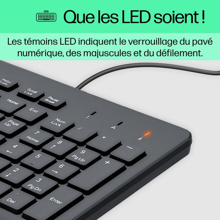 HP Clavier Filaire 150W AZERTY Français - Pavé Numérique, LED, Ergonomique, Garantie 2 Ans HP Clavier Filaire 150W AZERTY Français - Pavé Numérique, LED, Ergonomique, Garantie 2 Ans