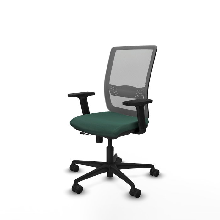 PIQUERAS Y CRESPO Chaise Haches Synchrone/Traslack Vert foncé et Gris