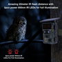 Stealth Gear Nightjar Dual Solar Wildlife Camera