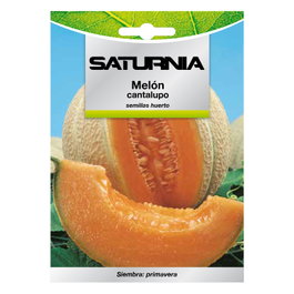 SATURNIA Semences de Melon Cantalupo (3 g)