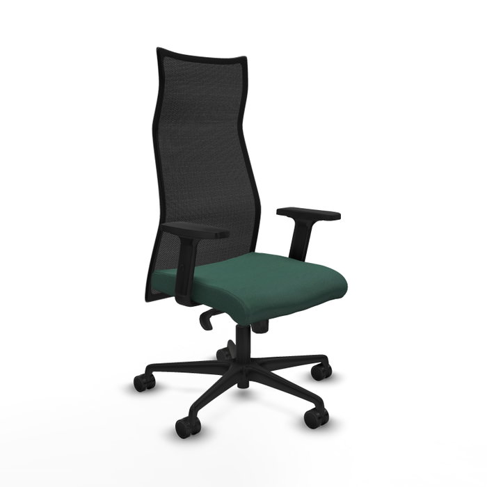 Piqueras y Crespo Chaise de Bureau Albacete, Vert Bouteille et Noir Piqueras y Crespo Chaise de Bureau Albacete, Vert Bouteille et Noir