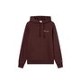 Sweat à capuche homme Champion Icons Contrast Marron