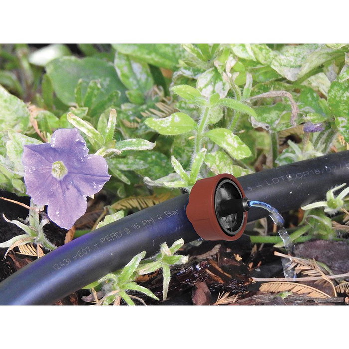 Goutteur autocompensant Aqua Control 906410 4 l/h Auto-nettoyant 10 Unités Goutteur autocompensant Aqua Control 906410 4 l/h Auto-nettoyant 10 Unités