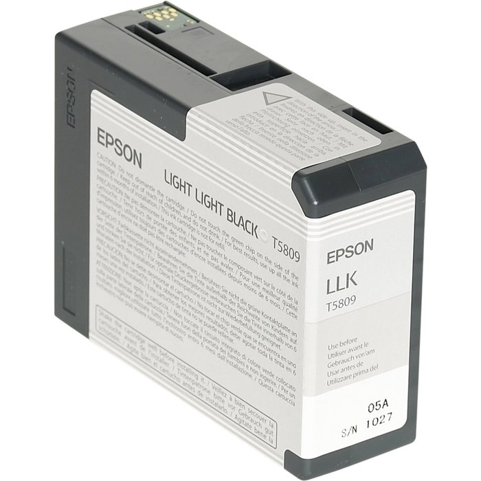 Epson Cartouche d'encre T5809 Gris clair 80 ml