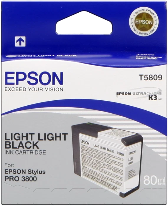 Epson Cartouche d'encre Light Light Black 80 ml C13T580900
