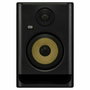 Moniteur de studio KRK Systems KRK000083