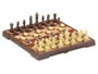 Cayro Jeu d'échecs et de dames magnétique grand en plastique - Pour 2 joueurs - Instructions multilingues (Français inclus)