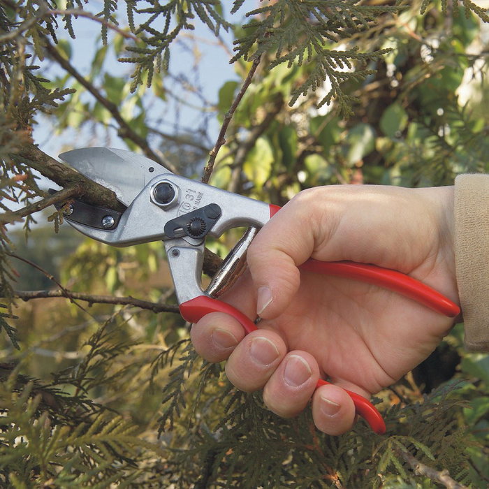 Felco Tijera de poda de yunque modèle 31 pour grandes mains