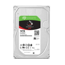 Seagate IronWolf ST10000VN000 10 To 7200 tr/min