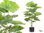 Ibergarden Pot Plante Feuilles Larges 90 cm Vert Noir Plastique (Set de 6)