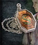 The Noble Collection Réplique du Médaillon Horcrux de Salazar Serpentard avec Chaîne et Présentoir