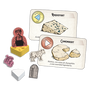 Road to Infamy R2IFRO01ES - Jeu de société Fromage, jeu de stratégie et gestion de ressources, 1-4 joueurs, dès 14 ans