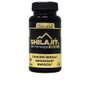 Drasanvi Shilajit avec Vitamine B6, 60 gélules