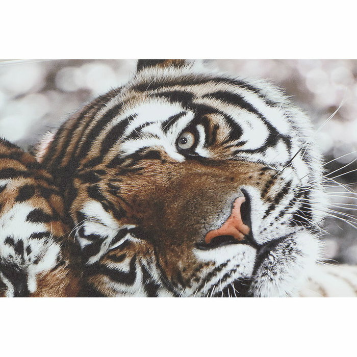 DKD Home Decor Toile Bois MDF 80 x 1,8 x 40 cm Tigre