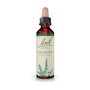 Bach Original Agrimony 20 ml