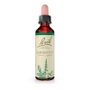 Bach Original Agrimony 20 ml