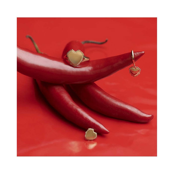 Boucles d´oreilles Femme Radiant 2,5 cm