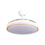 Ventilateur de Plafond DC Blanc 107cm 6 Vitesses, Fonction Été/Hiver, LED 60W, 3 Températures de Lumière, Télécommande et Minuterie 107d