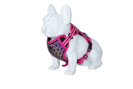 Freedog Harnais Boreal Fuchsia 20mm