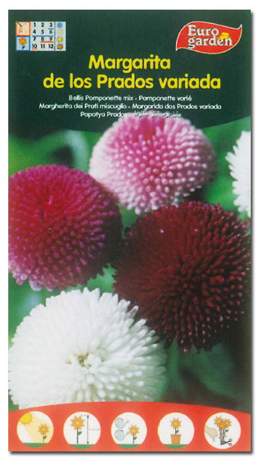 Fito Flores Semences de Marguerites des Prés Variées - Boîte de 10 Fito Flores Semences de Marguerites des Prés Variées - Boîte de 10