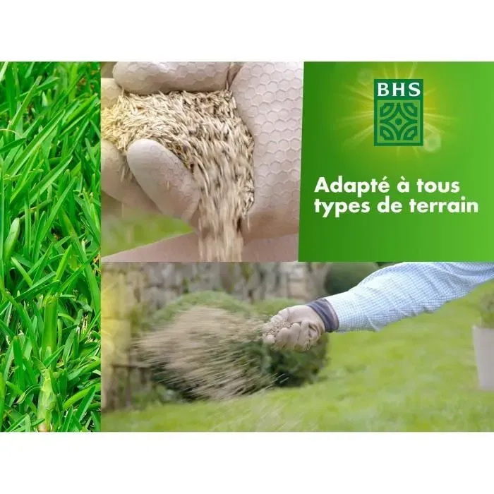 BHS - Gazon Rustique 1kg - Semence pelouse resistant froid - Avec engrais UAB pour semer et nourrir - Pour tous terrains et climats
