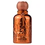 Auraa Desire Rusty Island Extrait de parfum Pour hommes 100 ml