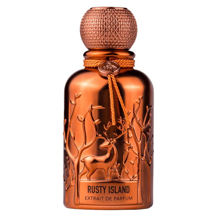 Auraa Desire Extrait de parfum pour hommes Rusty Island - 100 ml Auraa Desire Extrait de parfum pour hommes Rusty Island - 100 ml