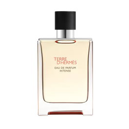 Hermes Terre d'Hermes Intense Eau de Parfum pour Homme Rechargeable 100 ml