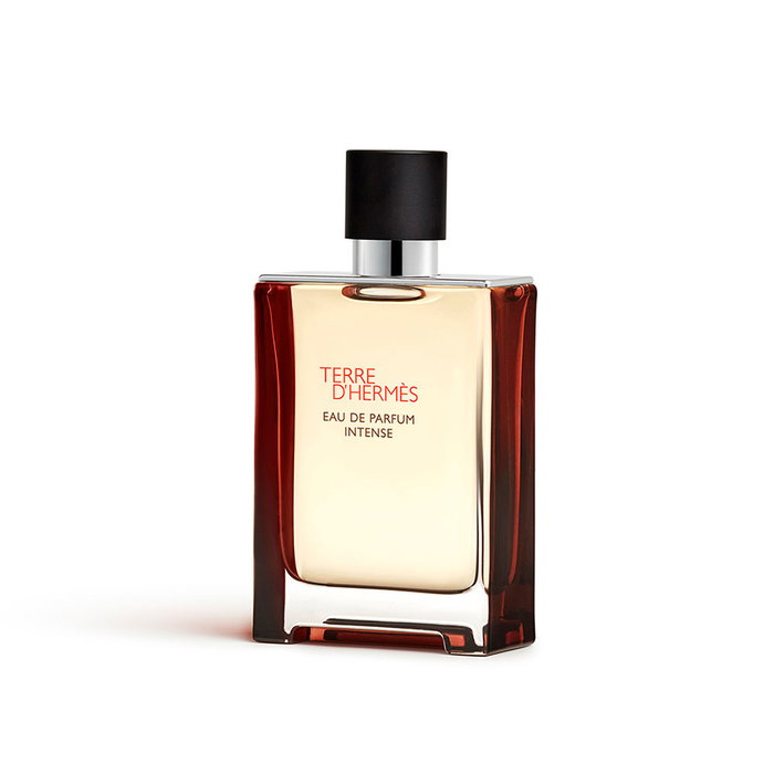 Hermès Terre d'Hermès Eau de Parfum Intense Vapo 100 ml