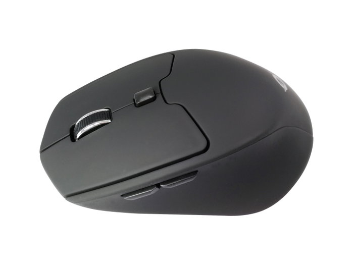 Conceptronic Lorcan02 Souris Bluetooth 1600 DPI Ergonomique Noir Conceptronic Lorcan02 Souris Bluetooth 1600 DPI Ergonomique Noir