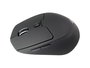 Conceptronic Lorcan02 Souris Bluetooth 1600 DPI Ergonomique Noir
