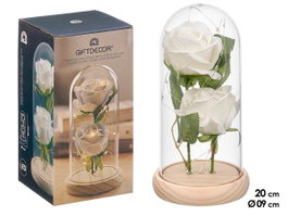GIFTDECOR CUPULA 2 ROSAS LED BLANCA